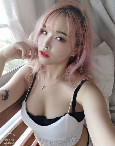 美女网站在线播放_在线免费观看电视剧